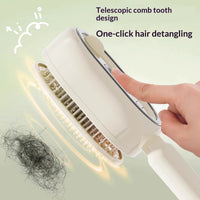 Electric Spray Hair Brush - Misting Massage Comb for Frizz-Free Styling 9