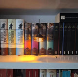 Book Nook Shelf Lantern — Hanging Lamp Bookshelf Insert for Book Lovers 1