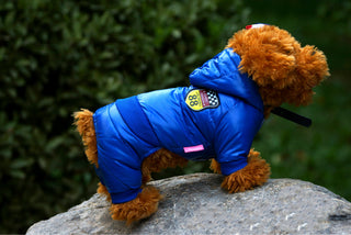 Cozy Puffer Dog Jacket — Windproof Down-Cotton Winter Coat
