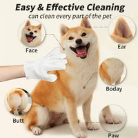 Pet Cleaning Gloves & Wipes 5