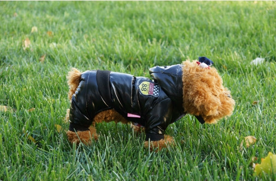 Cozy Puffer Dog Jacket — Windproof Down-Cotton Winter Coat