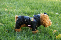 Cozy Puffer Dog Jacket — Windproof Down-Cotton Winter Coat 7