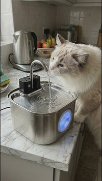 PurrFlow Wireless Cat Water Fountain — Cordless 3.2 L Stainless Steel Fountain with Motion Sensor 2