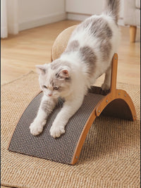 Wobble Ball Cat Scratcher — Sisal Ball & Curved Scratch Board 3