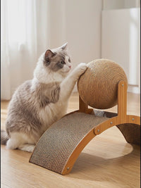 Wobble Ball Cat Scratcher — Sisal Ball & Curved Scratch Board 2
